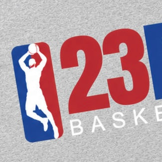 23ERS Basketball T-Shirt Inspired by LeBron James | Vintage Basketball Graphic Tee | Sports Grey